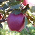 Kształcenie branżowe – przykłady dobrych praktyk